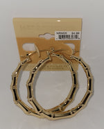 14 KT G.F Pincatch Gold Earring (NRM05)